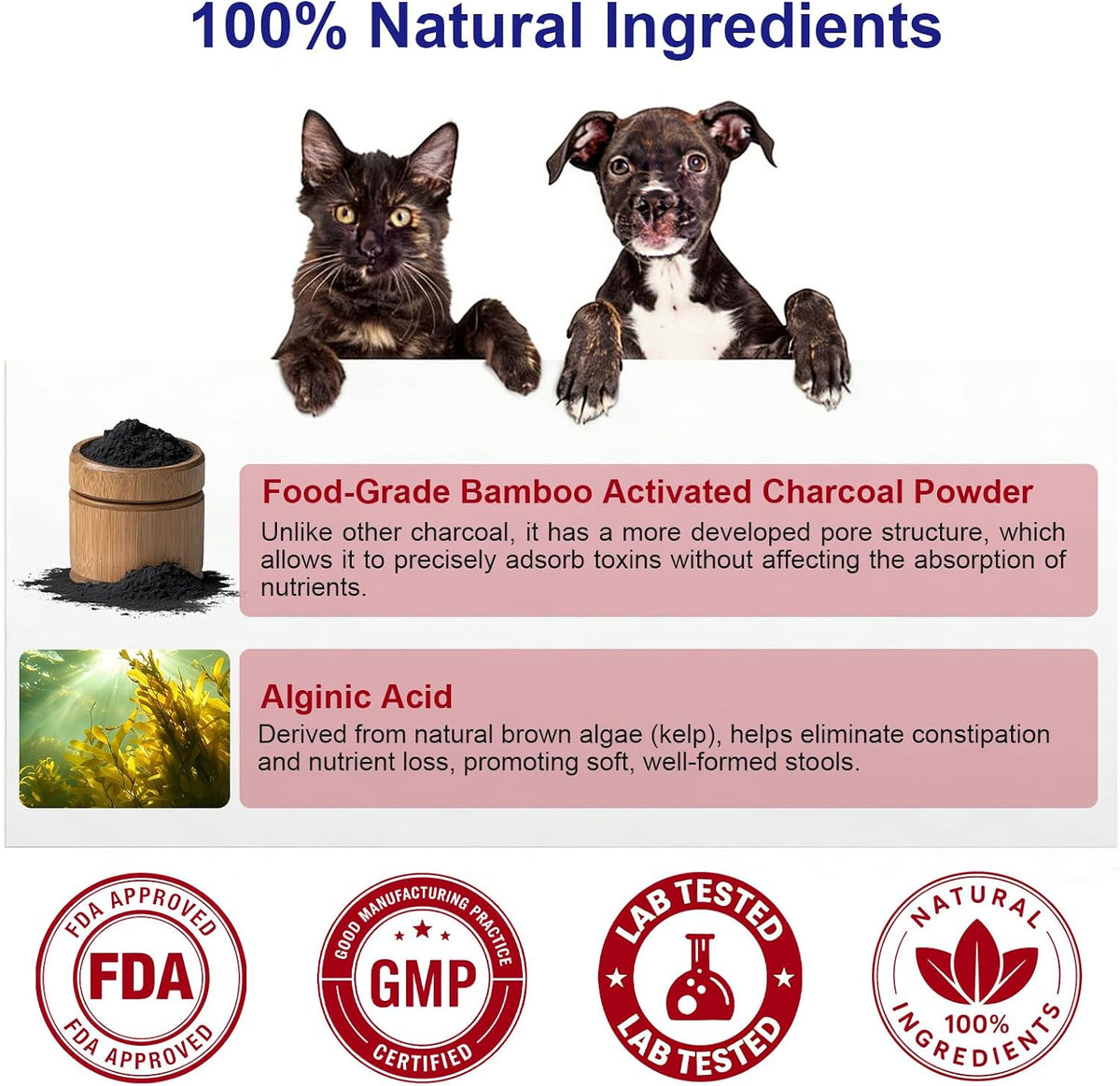 Activated Charcoal Powder for Dogs Cats, First Aid Emergency Kit 100 Scoops
