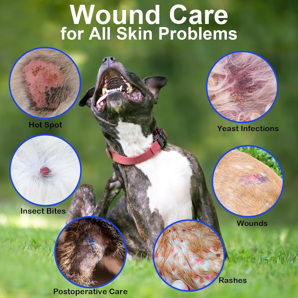 Hot Spot Wound Care Spray for Dogs, Cats, Relieves Itchy Skin, Cleans & Fast Healing Infections, Wounds & Post Surgery Incision - Safe & Gentle, Non-Irritating, Advanced HOCl Spray, 3.4 Ounces